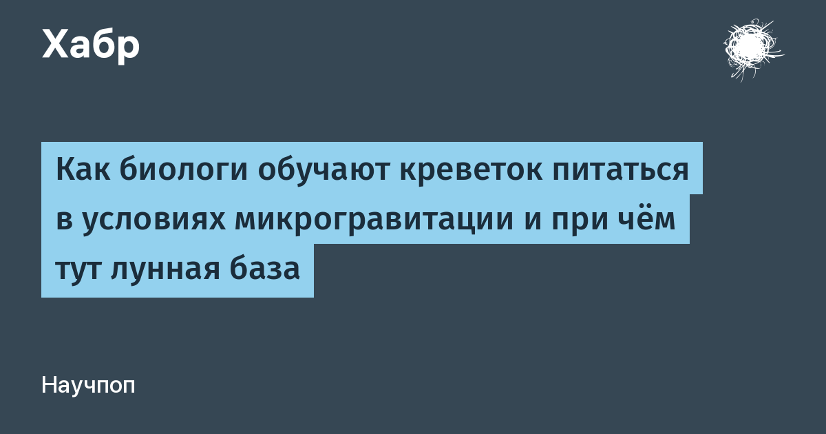 [Перевод] Как биологи обучают креветок питаться в условиях микрогравитации и при чём тут лунная база